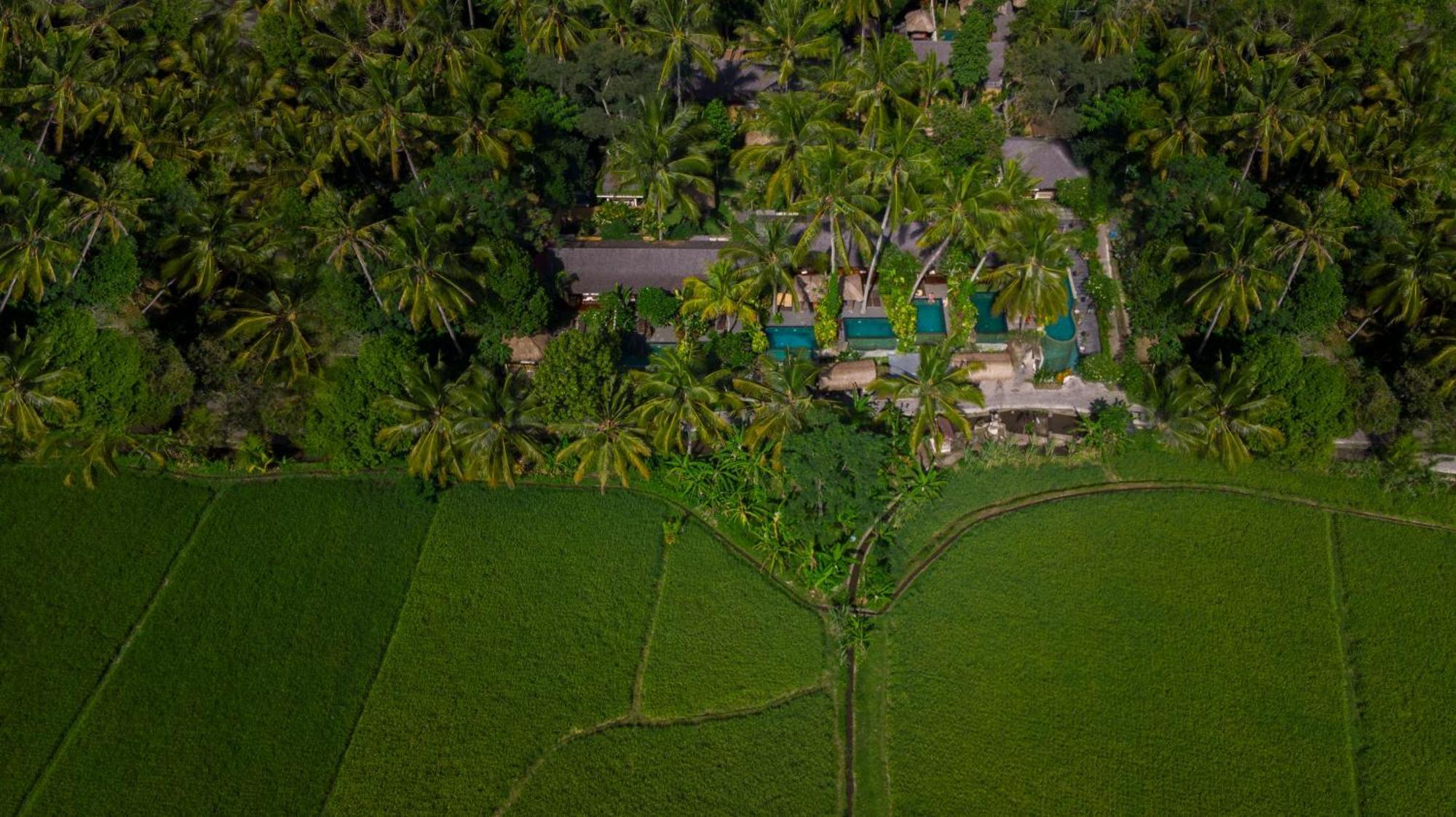 One-Bedroom Private Pool Villa Rice Field View Benefits